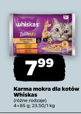 Karma mokra dla kotów promocja w Netto
