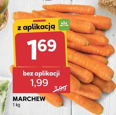 Marchew promocja w Stokrotka