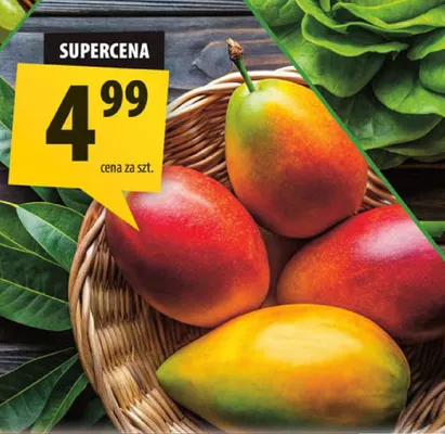 Mango promocja w Arhelan