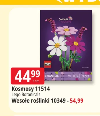 Klocki Lego Botanicals Wesołe roślinki 10349 promocja w Leclerc