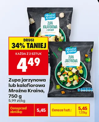 Zupa jarzynowa Mroźna Kraina promocja w Biedronka