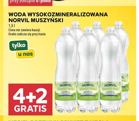 Woda gazowana wysokozmineralizowana Norvil Muszyński promocja w Stokrotka