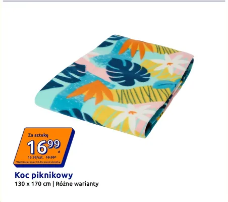 Koc piknikowy 130x170 cm promocja w Action