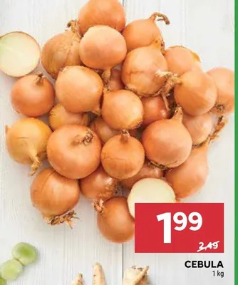 Cebula promocja w Stokrotka