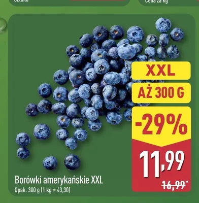 Borówki amerykańskie XXL promocja w Aldi