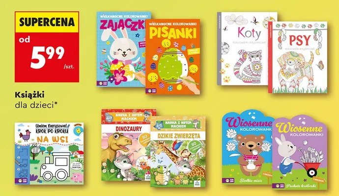 Książki dla dzieci promocja w Biedronka