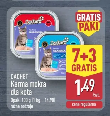 Karma mokra dla kota Cachet z wołowiną promocja w Aldi