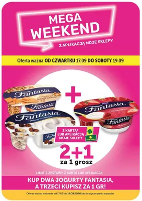 Jogurt Fantasia z płatkami w czekoladzie promocja w Groszek