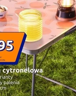 Świeca cytronelowa promocja w Action