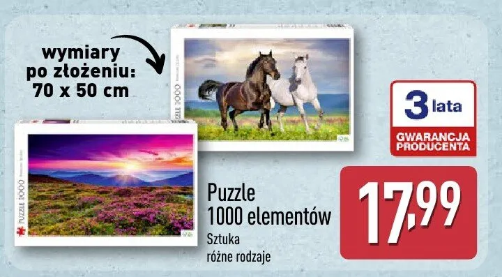 Puzzle 1000 elementów sztuka różne rodzaje promocja w Aldi
