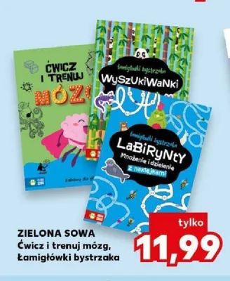 Książka Ćwicz i trenuj mózg Zielona Sowa promocja w Kaufland