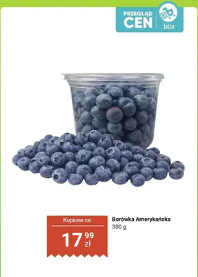 Borówka amerykańska 300 g promocja w Dino