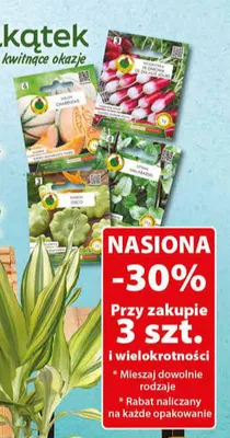 Nasiona Melon promocja w Dino