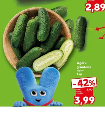 Ogórki gruntowe luzem promocja w Kaufland