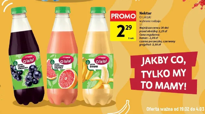 Nektar czarna porzeczka promocja w Intermarche