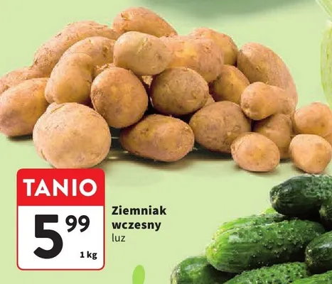 Ogórek gruntowy luz promocja w Intermarche