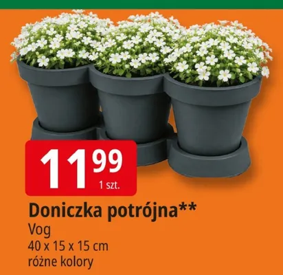 Doniczka potrójna promocja w Leclerc