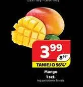 Mango promocja w Delfin