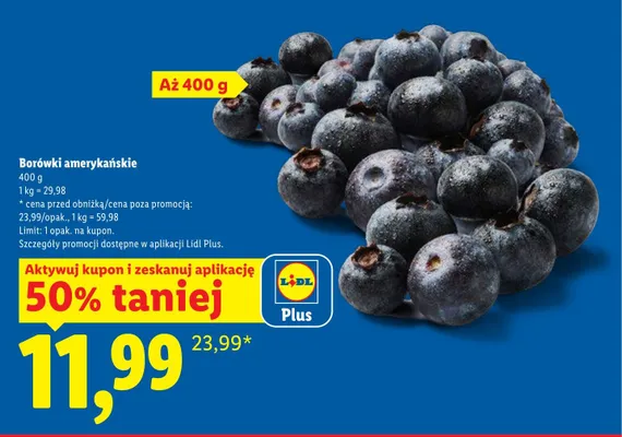 Borówki amerykańskie promocja w Lidl