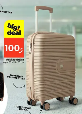 Walizka podróżna promocja w Dealz