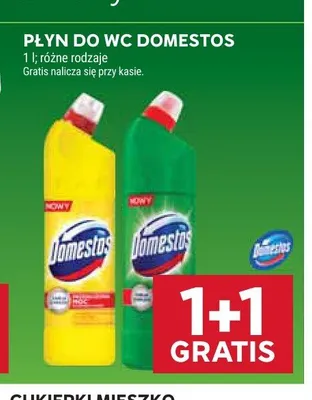 Płyn do WC Domestos promocja w Stokrotka
