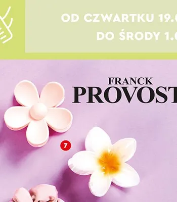 Klamra w kształcie kwiatka promocja w Biedronka