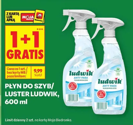 Płyn do szyb i luster Ludwik promocja w Biedronka