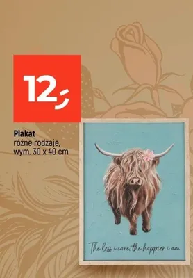 Plakat 30x40cm promocja w Dealz