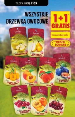 Drzewko owocowe Morela Somo Gartenland promocja w Biedronka