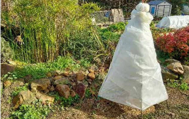 Katalog ogród, strona 132 promocja w Bricomarche