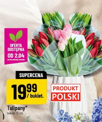 Tulipany promocja w POLOmarket