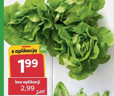 Sałata masłowa promocja w Stokrotka