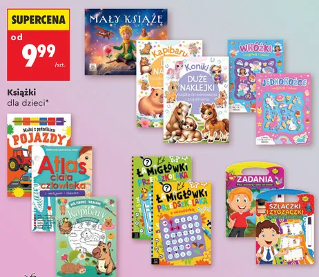 Książka dla dzieci promocja w Biedronka