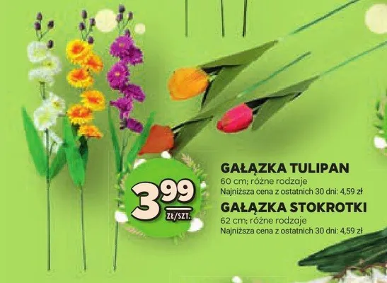 Gałązka stokrotki 62cm różne rodzaje promocja w Stokrotka