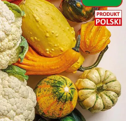 Dynia ozdobna promocja w Dino