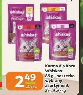 Karma dla kota Whiskas z wołowiną promocja w Gama