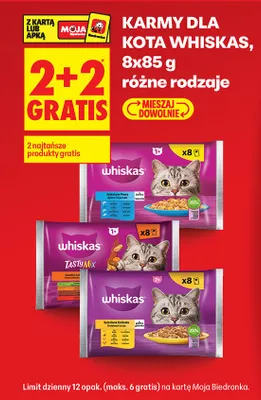 Karma dla kota 8x85 g, różne rodzaje 2+2 GRATIS promocja w Biedronka