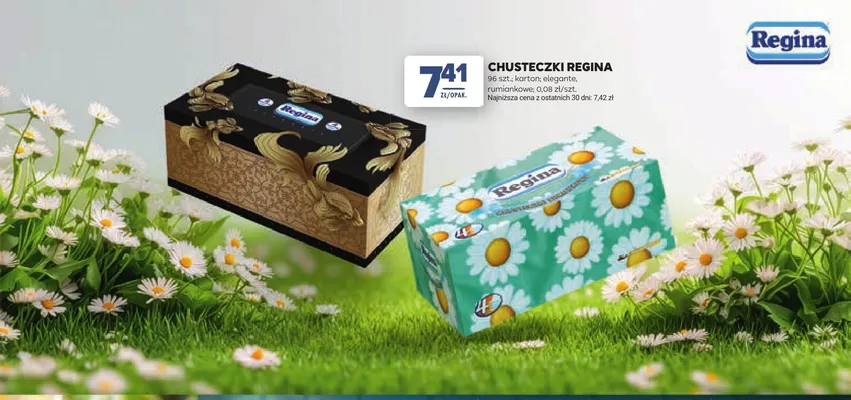 Chusteczki Regina karton promocja w Stokrotka