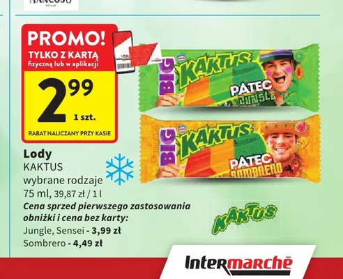 Lody Kaktus Sensei promocja w Intermarche