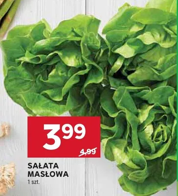 Sałata masłowa promocja w Stokrotka