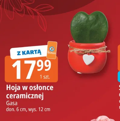 Hoja w osłonce ceramicznej Gasa don. 6cm wys. 12cm promocja w Leclerc
