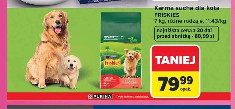 Karma sucha dla kota Friskies Active promocja w Carrefour