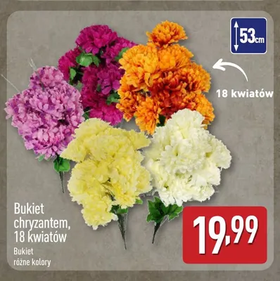 Bukiet chryzantem 18 kwiatów promocja w Aldi