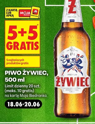 Piwo Żywiec promocja w Biedronka