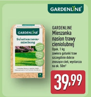 Mieszanka nasion trawy cieniolubnej promocja w Aldi