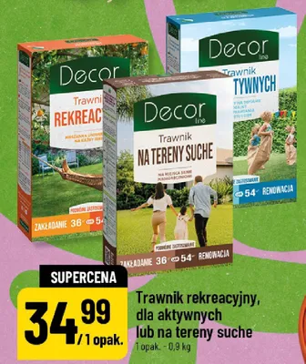 Trawnik na tereny suche Decor promocja w POLOmarket