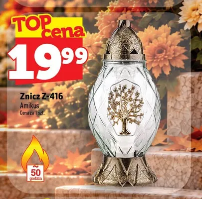 Znicz Z-416 Amikus promocja w TOPAZ