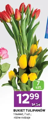 Bukiet tulipanów różne rodzaje promocja w Stokrotka