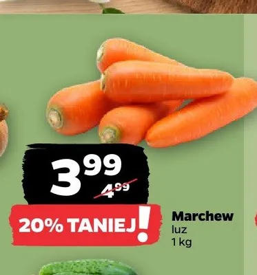 Marchew promocja w Netto