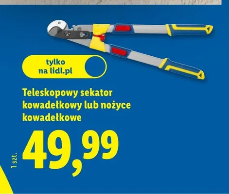 Teleskopowy sekator kowadełkowy lub nożyce kowadełkowe promocja w Lidl